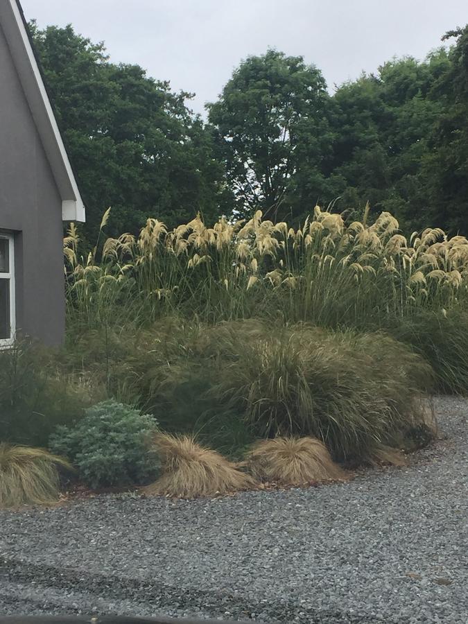 The Wendy Hoose Bed and Breakfast Nairn Exteriör bild